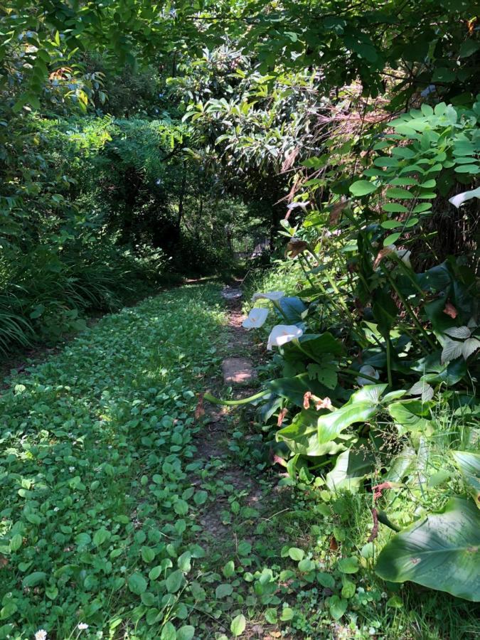 Hostel Eco 차크비 외부 사진